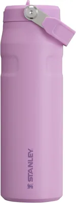 Stanley IceFlow Flip Straw 2.0 24oz Best Deal