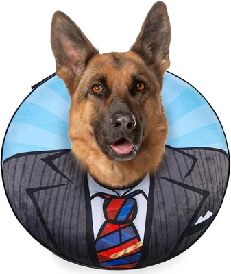 BEAUTYZOO Dog Cone Alternative, Soft Neck Donut E-Collar, Adjustable