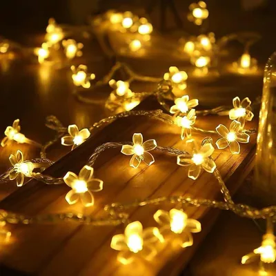6M 40LED Flower Fairy Lights Best Deal