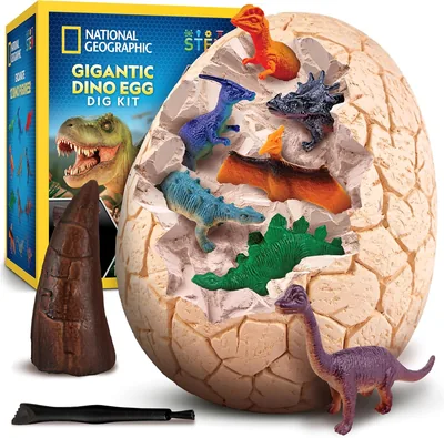 National Geographic Jumbo Dinosaur Egg Dig Kit - Best Deal