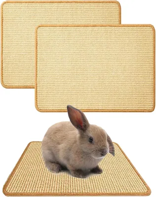 Oncpcare 2PCS Rabbit Scratch Mat - Best Deal