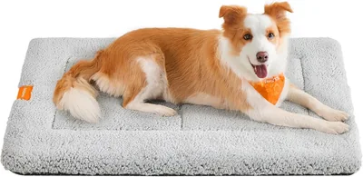 Feandrea PPB020G01 Rugue pour Chats Tapis de Litière Antidérapant, XL, 105 x 70 cm, Gris Clair, Lavable en Machine et au Séchoir - 27% de Réduction