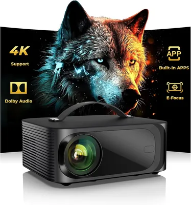 ONOAYO 4K Outdoor Projector - 300" Display