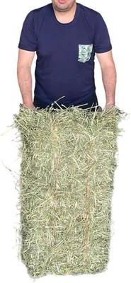 PACA Heno de Avena 10 kg para Cuyos o Conejos
