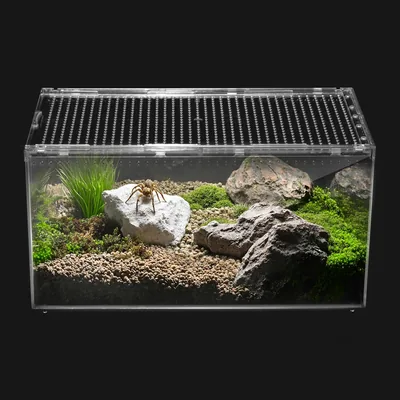 Clioran Reptile PC Terrarium - Leopard Gecko Container, Tarantula Cage, Best Deal