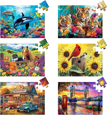 6 Pack Large Jigsaw Puzzles - 12% Off
