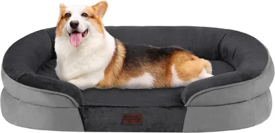 Dwanton Orthopedic Dog Bed Medium, Waterproof Egg Foam Sofa, Washable Pet Bed