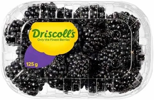 Driscoll's Blackberry, Portugal/South Africa 125 g