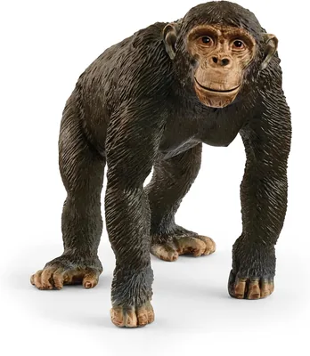 Schleich Wild Life Chimpanzee Toy, 5x5x8cm, 16% Off