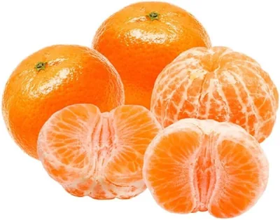 Fresh Mandarin Nova South Africa 1 kg, 6-8 pcs - Best Deal