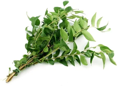 Sri Lanka Fresh Curry Leaves 50g - Best Deal
