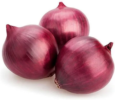 Fresh Onion Red 0.9-1 kg from Egypt