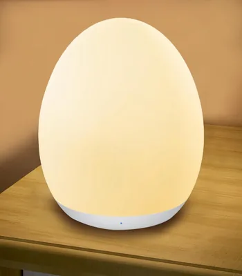 POLAMD Egg Night Light - 8 RGB Colors & Dimming Best Deal