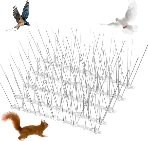 Bird Spikes 20PCS Anti Bird Deterrent Stainless Steel Pigeon Repellent Harmless Arrow Pigeon Spikes Fence Kit