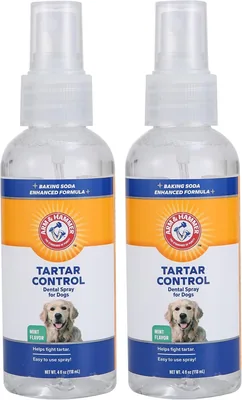 Arm & Hammer Pets Tartar Control Dental Spray for Dogs - Best Deal