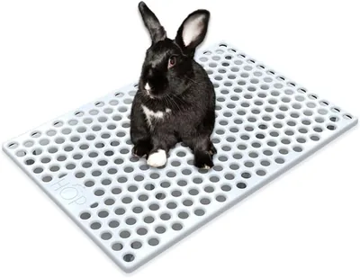 HOP Rabbit Litter Box: Less Mess with Hay Feeder