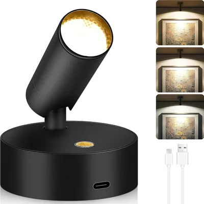 LED Wall Light - 3 Color Temps, 10 Brightness Levels Best Deal