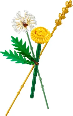 LEGO Botanicals Field Flowers Building Set