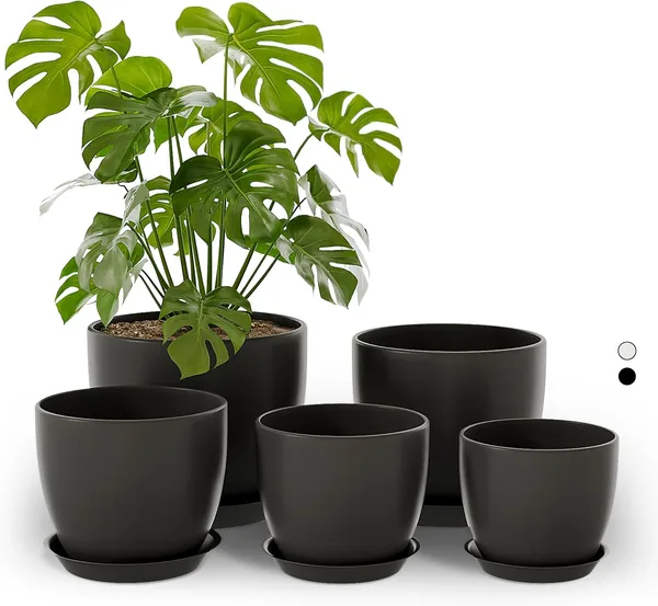 Bamworld 5 Pack Indoor Plant Pots