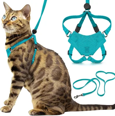Houdini Escape Proof Kitten Harness & Lead Set - Turquoise, Best Deal