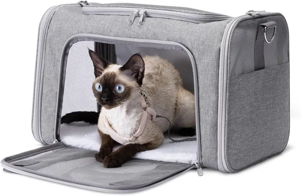 Amazon Basics Draagzak voor Honden en Katten, Verstelbaar Schouderband, Vliegtuiggoedgekeurd, Vouwbaar - Beste Deal