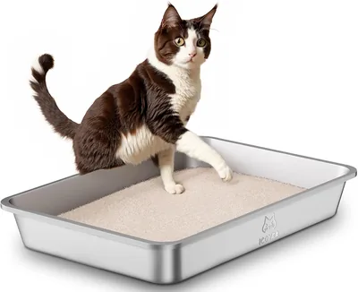 Pancier pour chat en acier inoxydable XXL, anti-adhésif et anti-odeur pour grands chats, chatons et lapins - Maine Coon