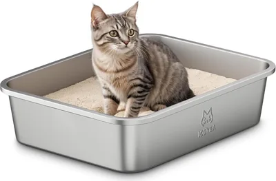 Höjda Edst Inox Cat Litter, Metall Öppn Katto für Kättor och Kaninjar med Non-Stick Surfa, Utan Flerar och Duftfritt