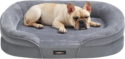 Cama para Perros Feandrea Mediana, 76x51x18 cm, Bordes Elevados | Funda Lavable y Repelente al Agua