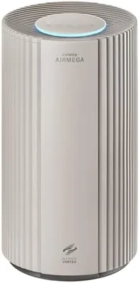 COWAY Air Purifier Airmeg Large Room HEPA Filter Best Deal