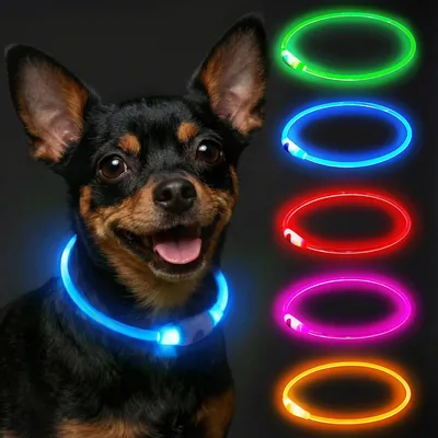 LED Dog Collar, Adjustable Light Up Dog Collars USB Rechargeable Waterproof, Dog Light Safety Neckla