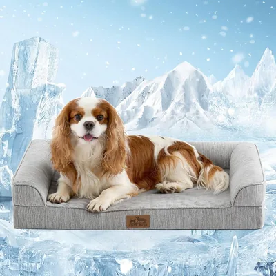 COZY KISS Cooling Dog Bed Small 30x20 Orthopedic Foam Sofa Bolster