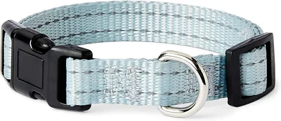 Basics Reflective Dog Collar - Small Blue Best Deal