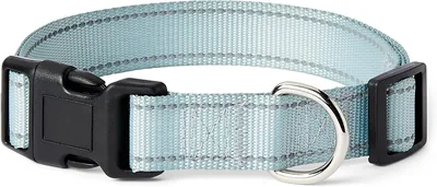 Basics Reflective Dog Collar Blue Large Best Deal