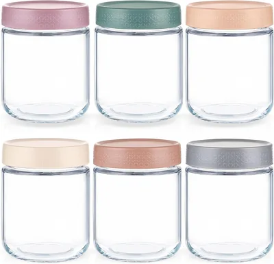Feshory 6 Pack (550 ML/19 Oz) Overnight Oats Container Jar with Lid - Glass Food Storage Containers 