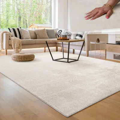 Paco Home Modern Flauschiger Wohnzimmerteppich Kurze Flocke Waschbar Weich Einfacher Stil Zeitloses Design Anti-Rutsch Einfach zu Pflegen