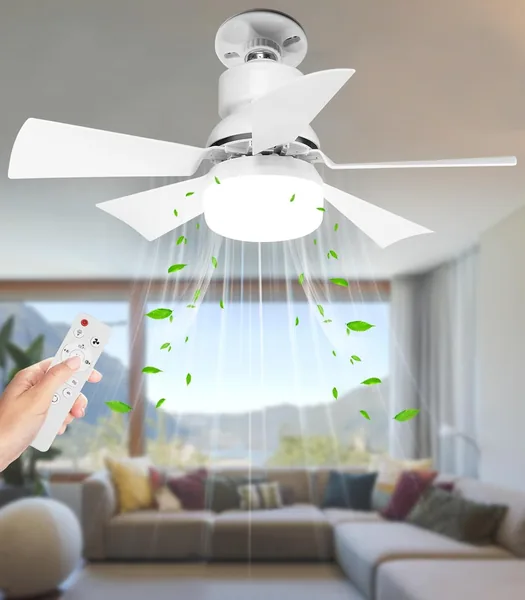 Alljia Ceiling Fans with Lights and Remote