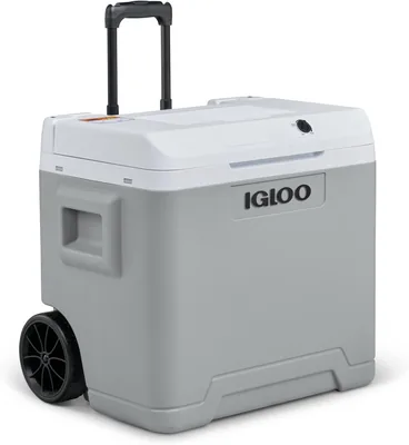 Refroidisseur électrique Igloo - 47% de réduction