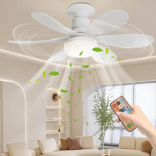 KEAGAN LED Ceiling Fan with Lights