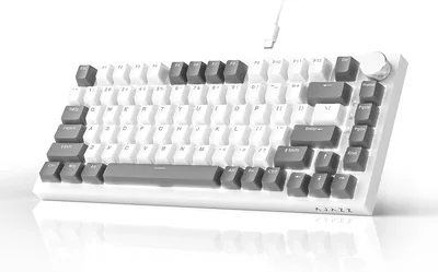 AK820 Grey White Kabelmechanische Tastatur für Gaming, mit Weißlicht und Lautstärkeregelung | 82 Tasten | PBT-Keycaps | Poron-Kissen
