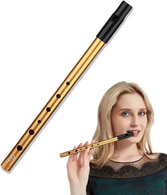 D Tin Whistle - Six Hole Irish Tin Whistle Key of d - Best Deal