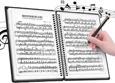 Flintronic A4 Dossier Musical, 30 pages/60 poches, pour documents, partitions, papier piano