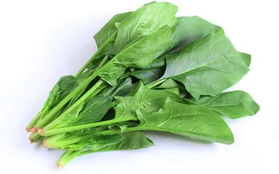 Fresh Spinach (Palak) Premium 250g, Best Deal