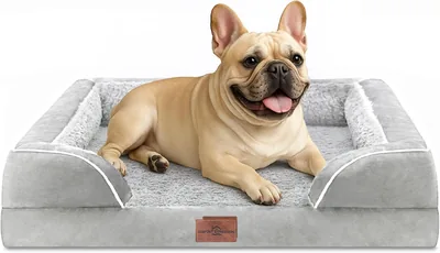 Comfort Expression Waterproof Orthopedic Dog Bed Medium