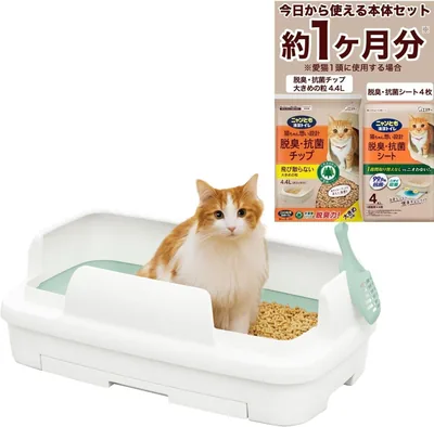 Nyantomo Clean Litter Set - Large Cat Toilet & 1 Month Supply - White
