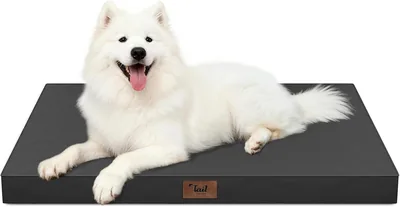Tail Stories Large Dog Bed, Waterproof Pet Bed