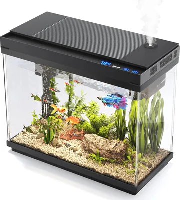 Vehipa 2.1 Gallon Fish Tank Aquarium with Humidifier & 7-Color Lighting