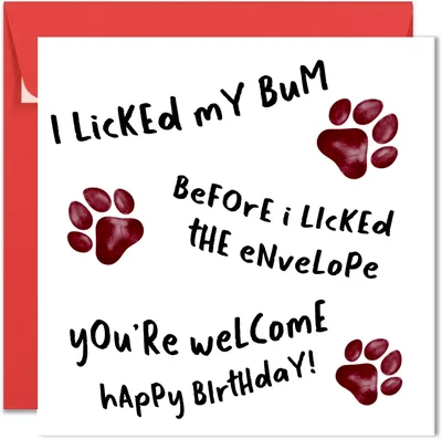 Printperfect Funny Dog Birthday Card Best Deal