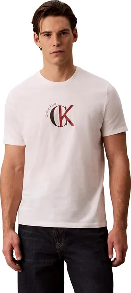 Camiseta Gráfica Calvin Klein SS 30s para Hombre, Talla L, Multicolor