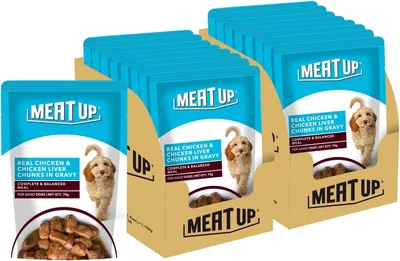 Meat Up Adult Wet Dog Food, 16 पौच × 70g, कुल 1.12kg | असली चिकन ग्रेवी में | स्वस्थ पाचन | स्वास्थ्य और ऊर्जा को बढ़ावा देता है