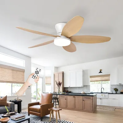 Fan de plafond avec lumière silencieuse, lustre de plafond à LED avec moteur DC réversible